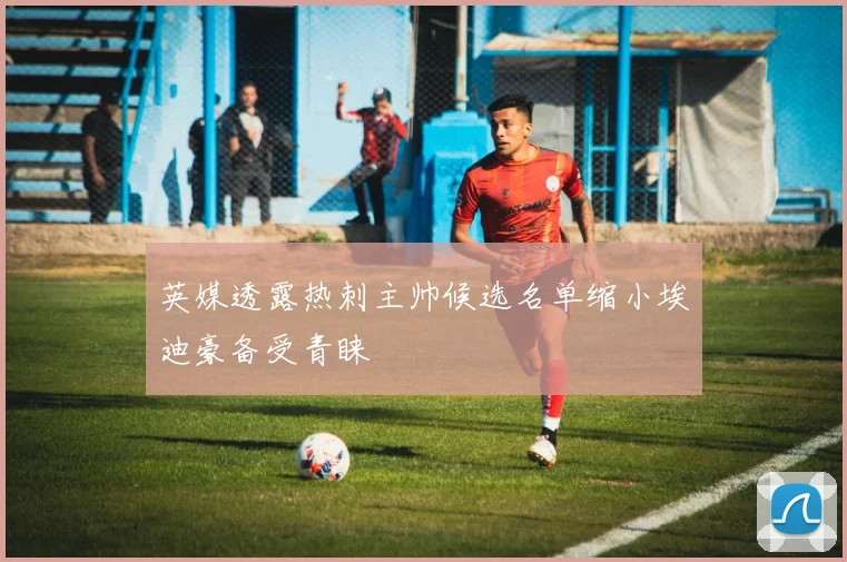 英媒透露热刺主帅候选名单缩小埃迪豪备受青睐