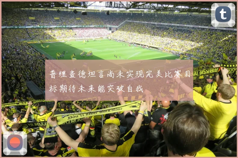 普理查德坦言尚未实现完美比赛目标期待未来能突破自我